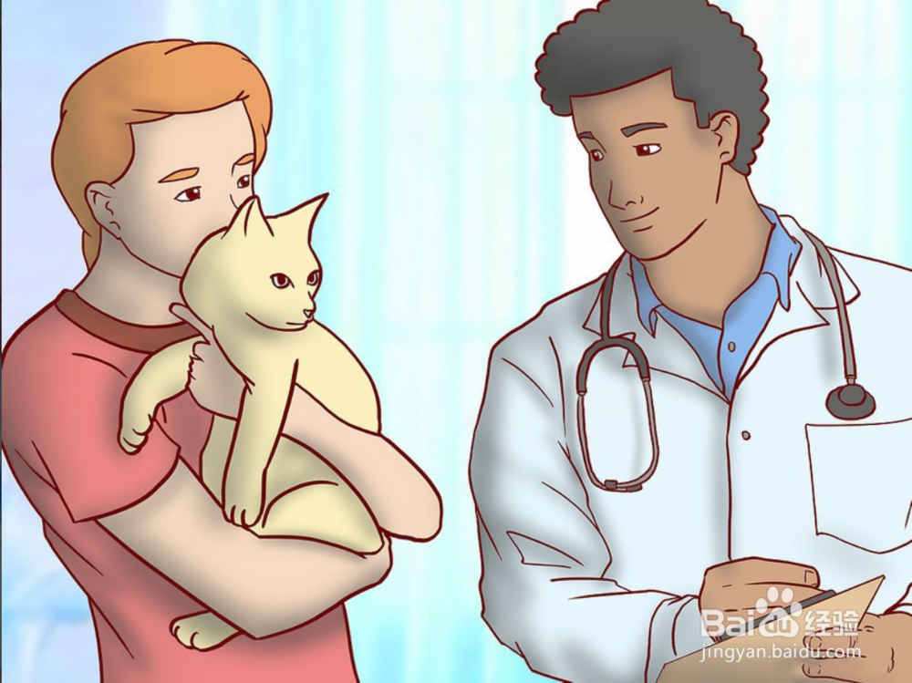 教你如何一只小猫开始养和注意事项有哪些?