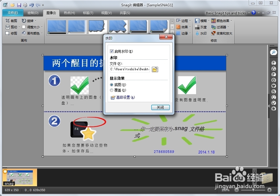snagit11教程篇：[3]图片添加水印