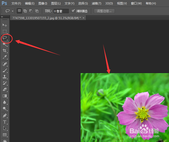 Photoshop抠图功略(菜鸟必备)