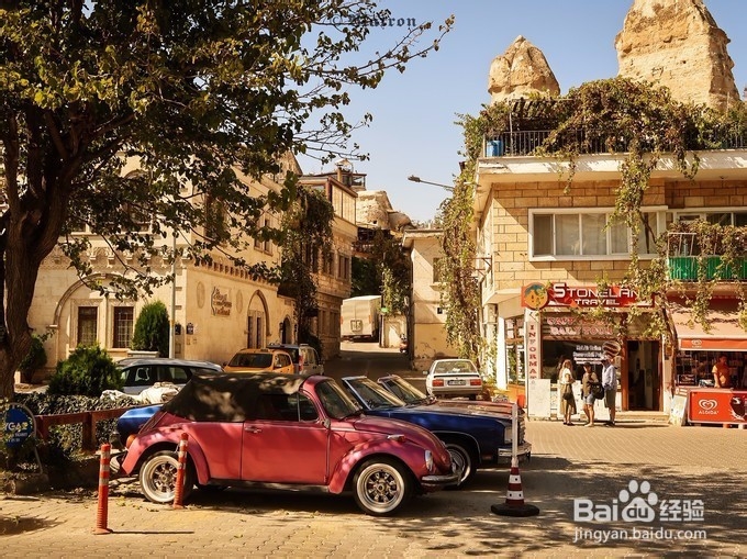 土耳其恋猫之国月落星沉你是黎明时分的光。