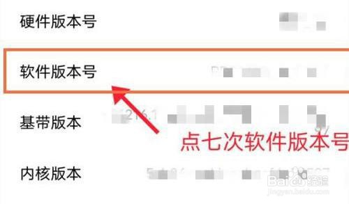 vivo手机是如何进入开发者模式的？