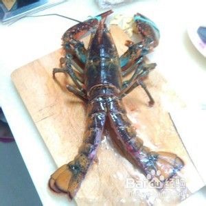 美洲螯龙虾 做法