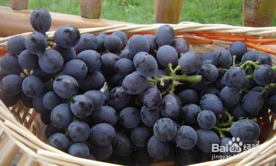 经期后怎么调整饮食能保持好气色