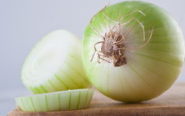 这些食物你可千万不要再喂狗狗了