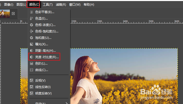 GIMP 如何更改图像的明暗度
