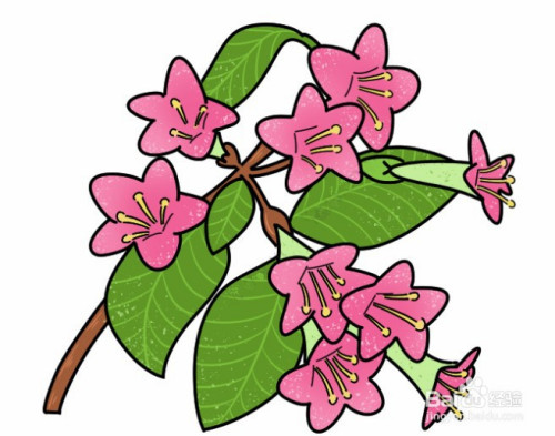 茂密的花简笔画