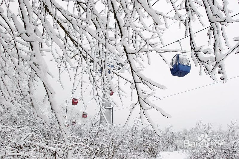 <b>西岭雪山游玩攻略</b>