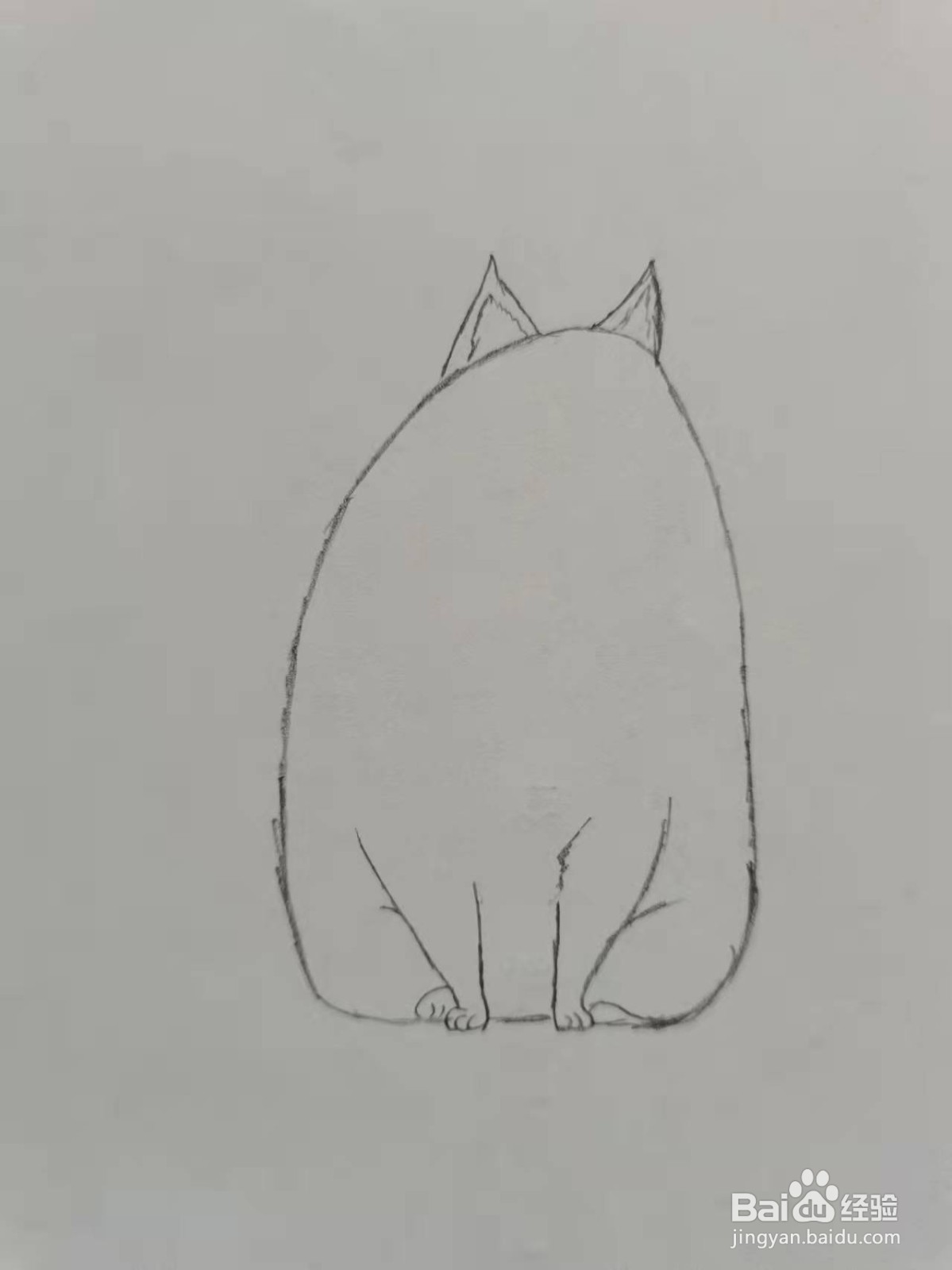 爱宠大机密里面的猫咪怎么画