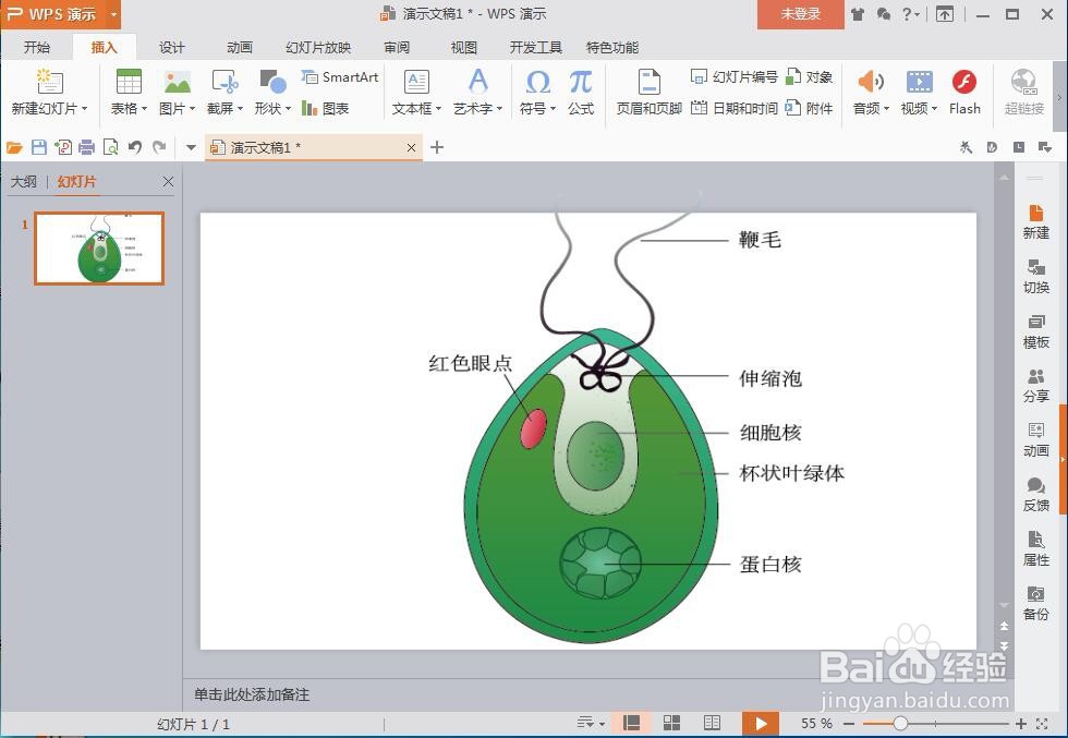 怎样在wps演示文稿中插入在线图片