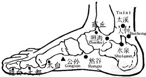 自我调理技巧，穴位汇集