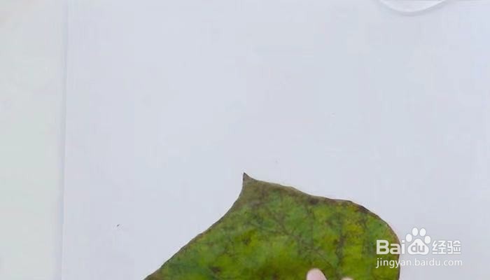 儿童手工恐龙树叶粘贴画怎么做