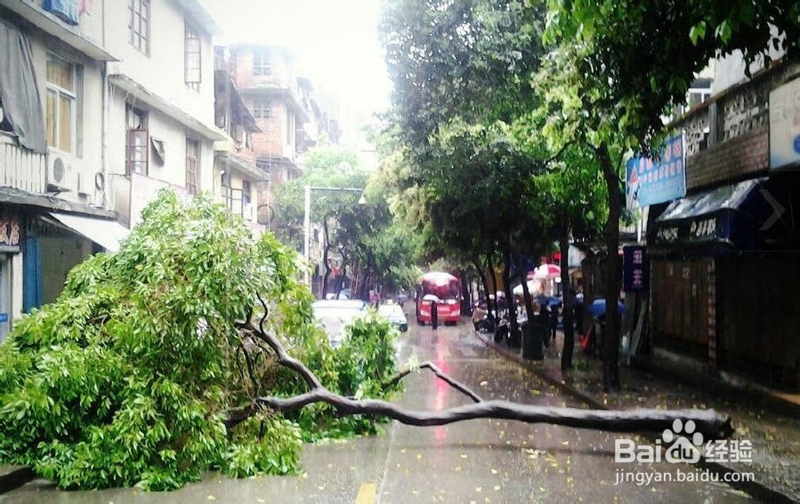 夏季外出遇到暴雨时该怎么办？