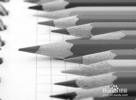 ps疑问解答：[30]如何用photoshop快速提取线稿