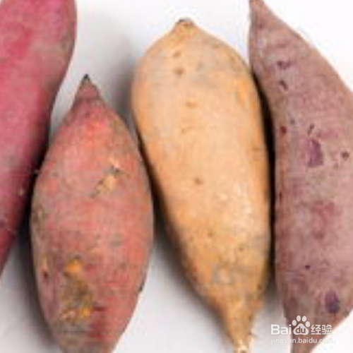 地瓜的储存方法有哪些?