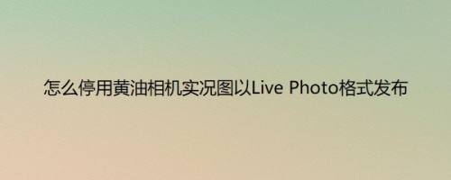 怎么停用黄油相机实况图以Live Photo格式发布