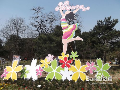 北京玉渊潭公园樱花节游记