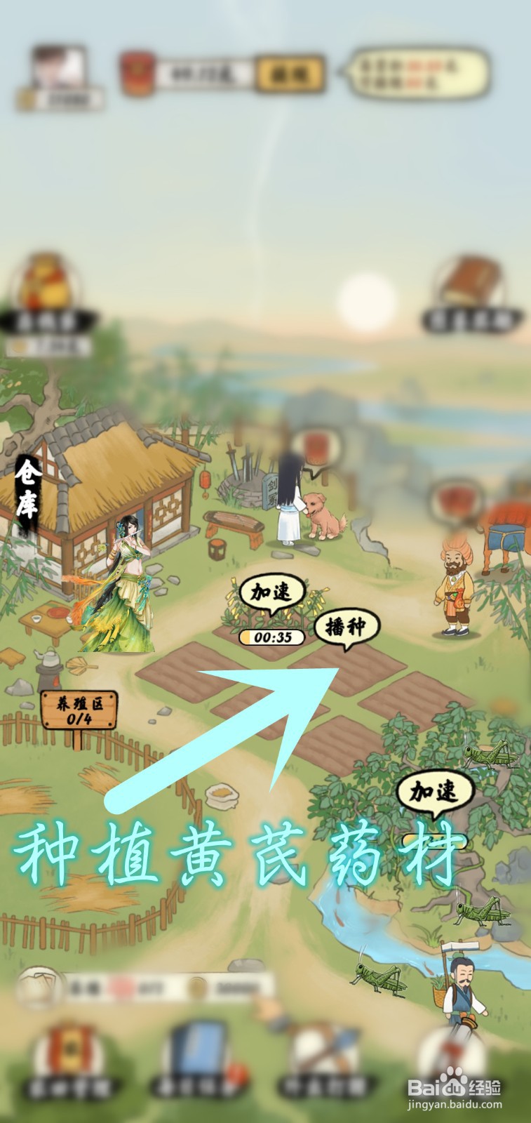 南山小院游戏怎么领取稀有黄芪