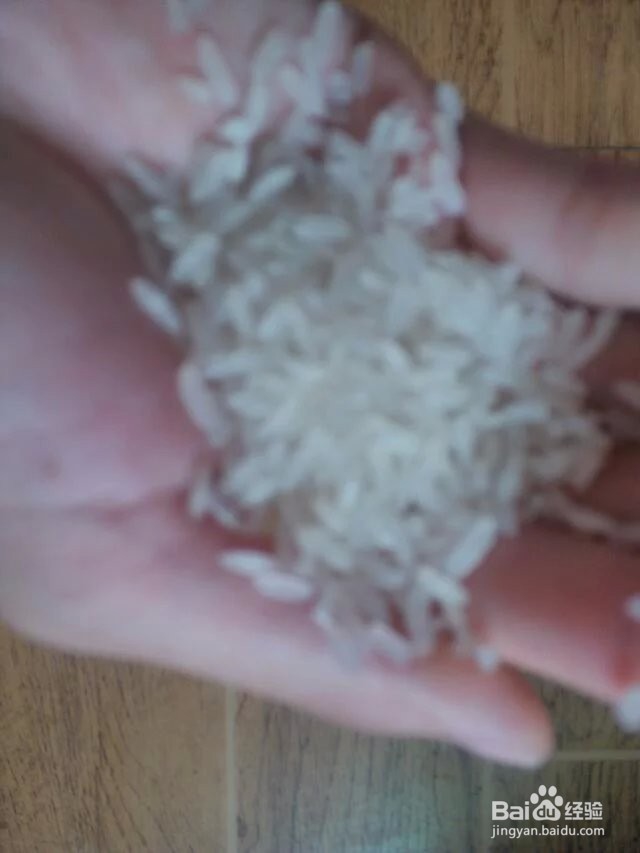 营养美味红 枣 粥