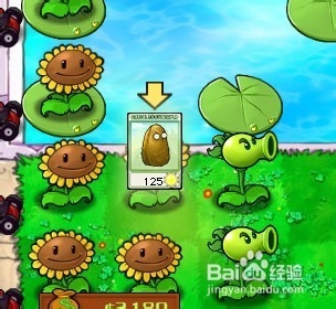 植物大战僵尸快速通关游戏攻略：[46]4-8.2