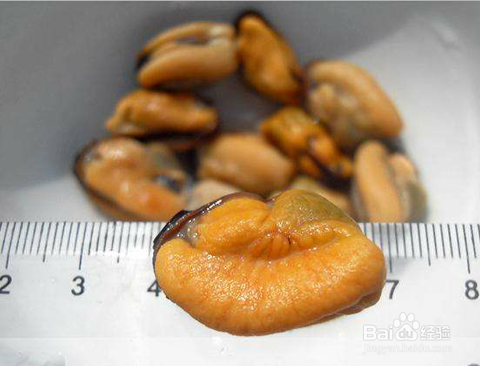 清洗淡菜干的方法