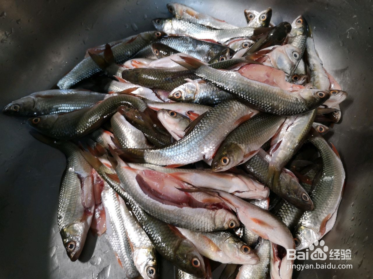 香酥愣子鱼的做法