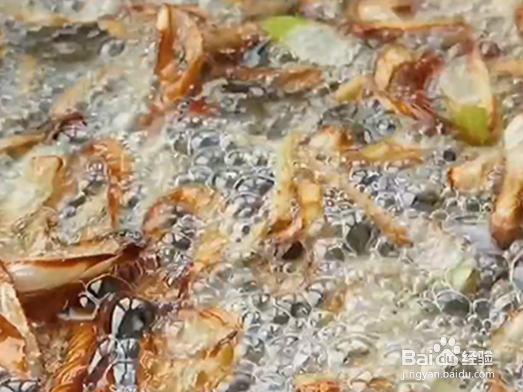 如何做鸡肉炖蘑菇