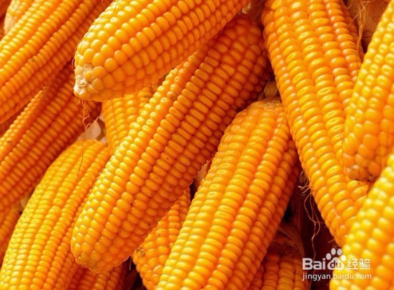 如何鉴别转基因食物