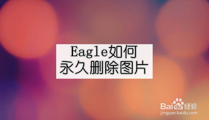 <b>Eagle如何永久删除图片</b>