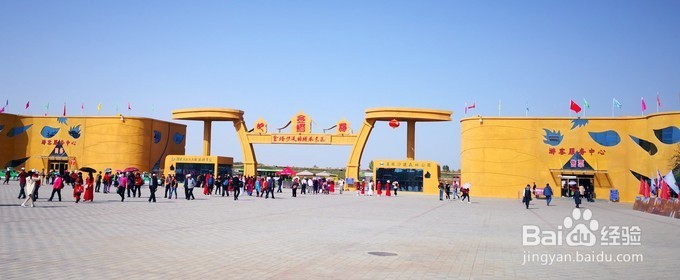 一段忘了初心的精彩秋游，西北