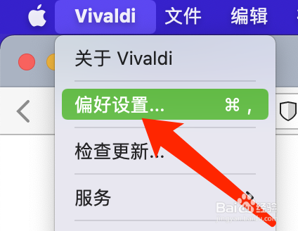 Mac版Vivaldi浏览器如何显示标签循环