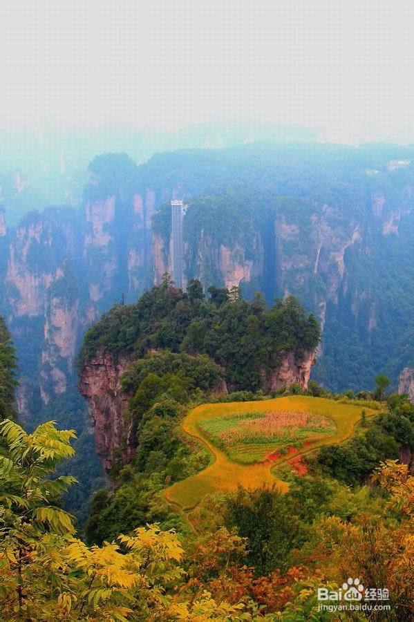 张家界十一旅游攻略