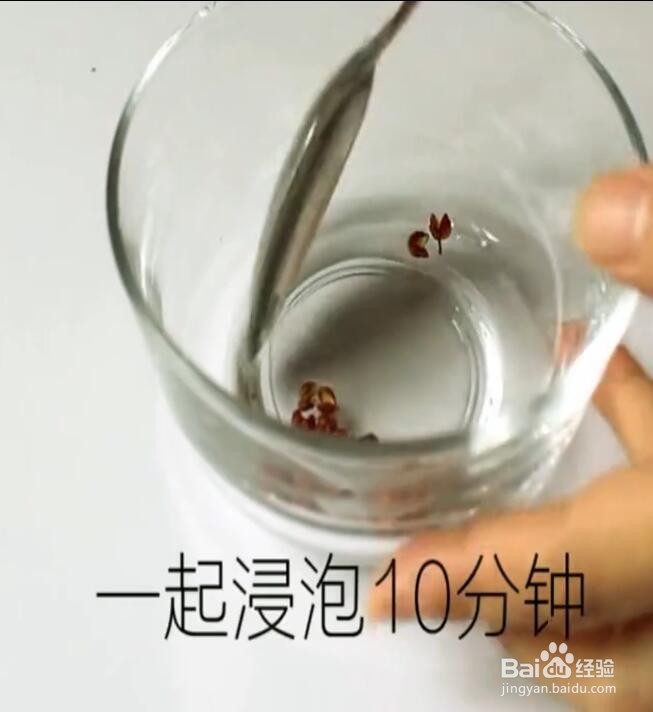怎样快速缓解牙痛