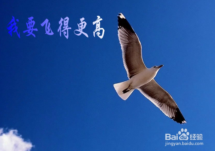 如何选择人生伴侣