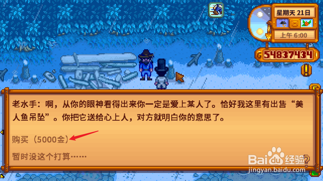 星露谷物语冬天怎么买美人鱼吊坠