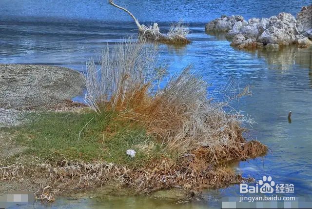 莫诺湖摄影攻略