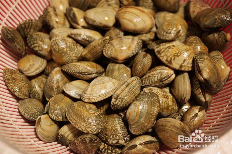 营养美味的辣炒蛤蜊