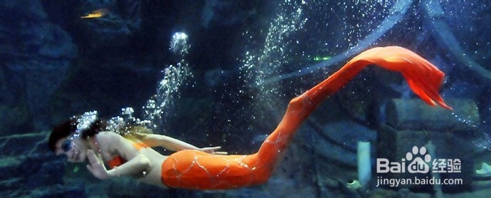 武汉东湖海洋世界公园旅游攻略