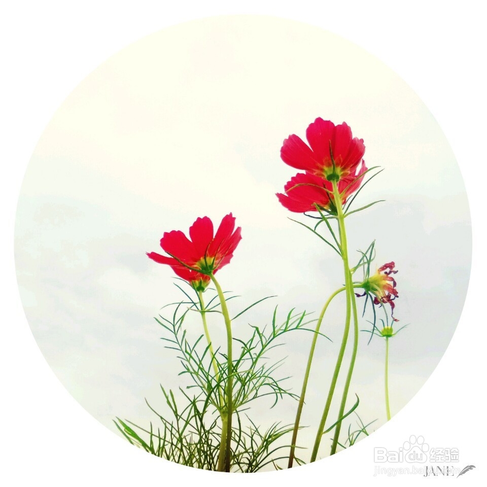 如何在孤独中优秀自己!