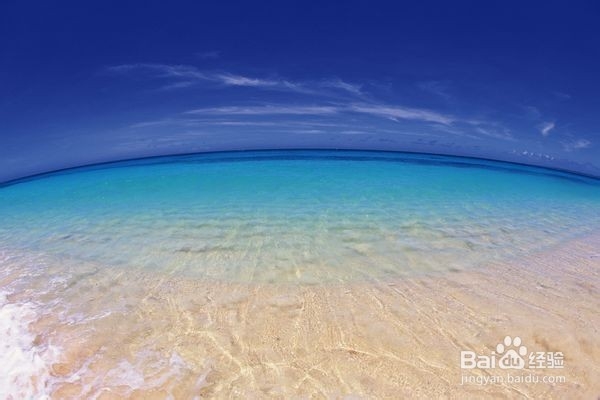 网上创业需要具备的一些要领？