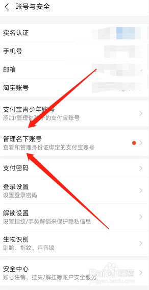 支付宝app如何查询自己名下的账号有多少