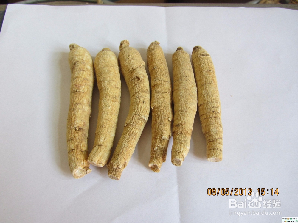 野生西洋参与种植西洋参的区别？