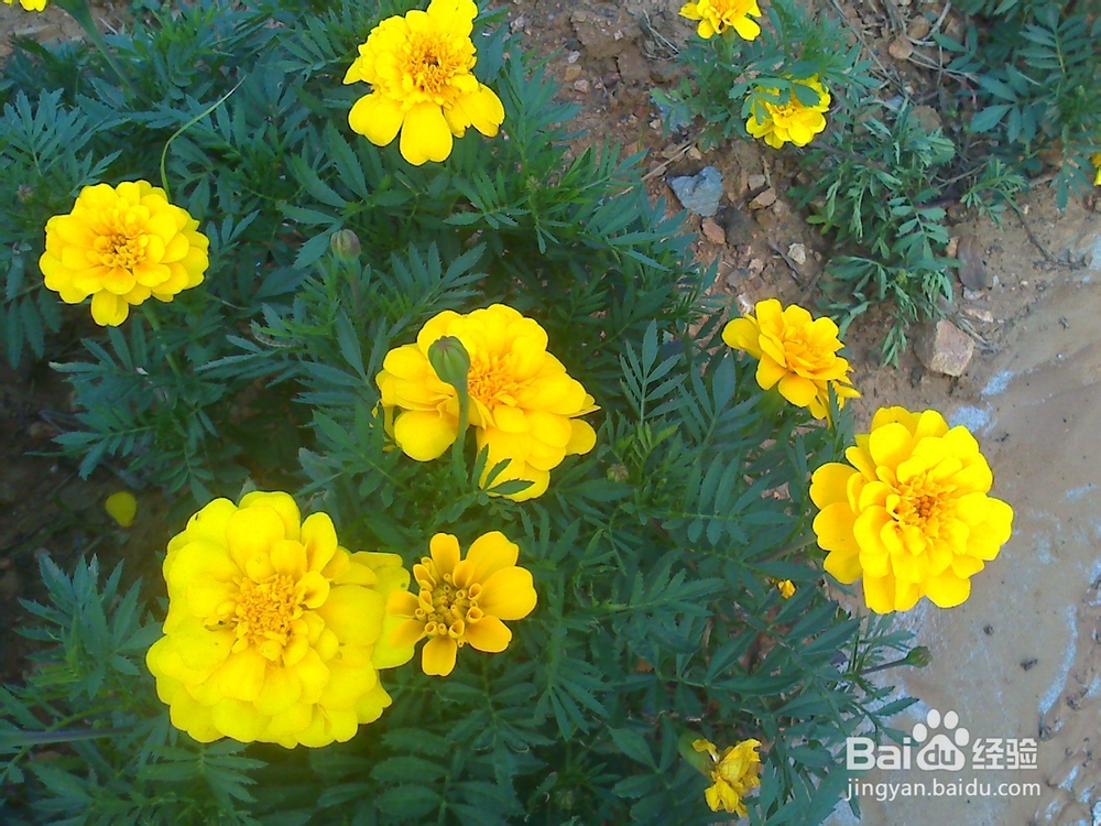 孩子性格内向初中毕业是学专业还是继续读书？