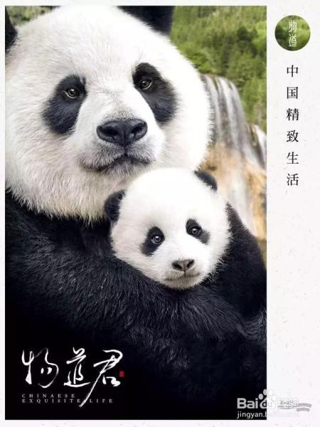 怎样的一股东方神秘力量，一个喷嚏征服1.4亿人？