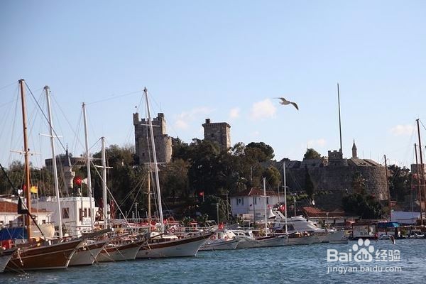 令人印象深刻的十字军城堡