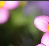 健康生活小知识15