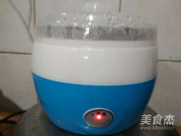 奇异果酸奶的做法