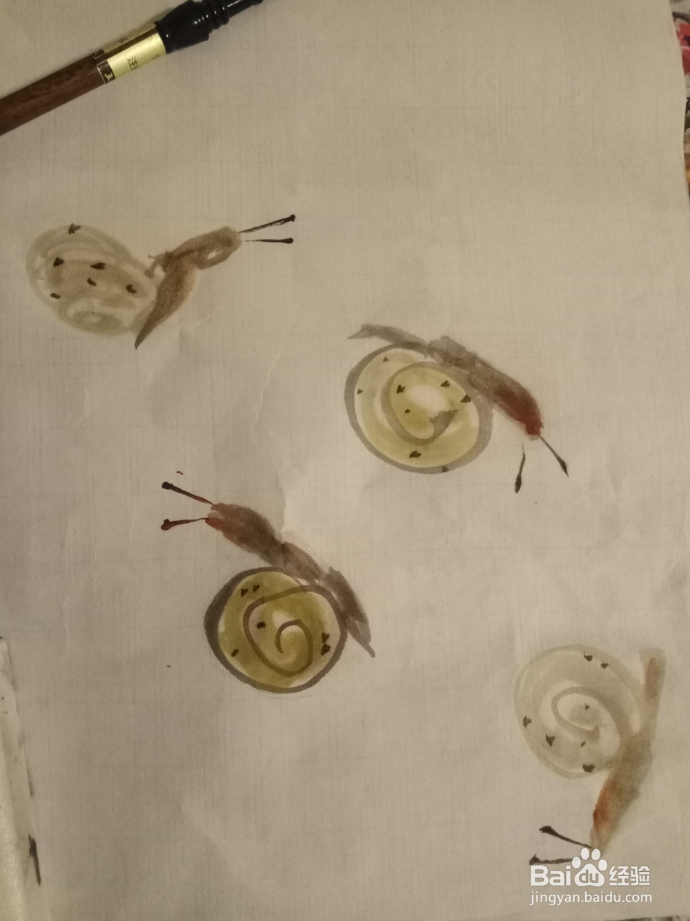 国画写意蜗牛的画法,