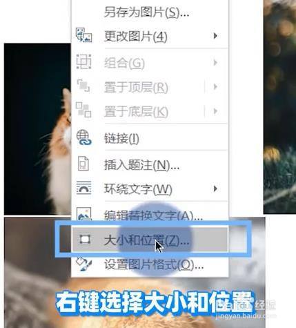 word 中怎样统一图片大小?