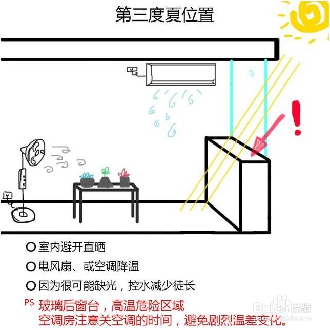 炎炎夏日，如何让你的多肉植物安然度夏!