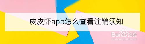 皮皮虾app如何查看注销须知